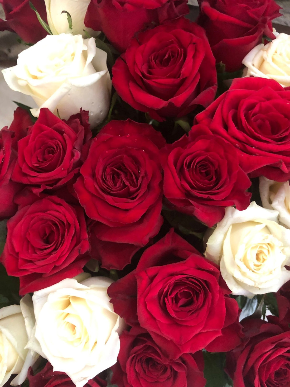 •Roses• - Flowershopping.gr