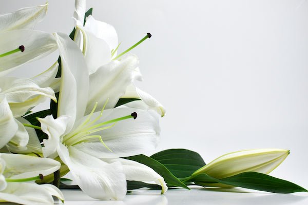 Sympathy funeral flowers to Athens Greece-Funeral - Condolences