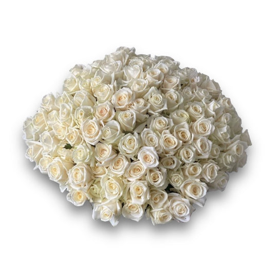 200 White Roses: A Luxurious Floral Gift Experience from flowershopping