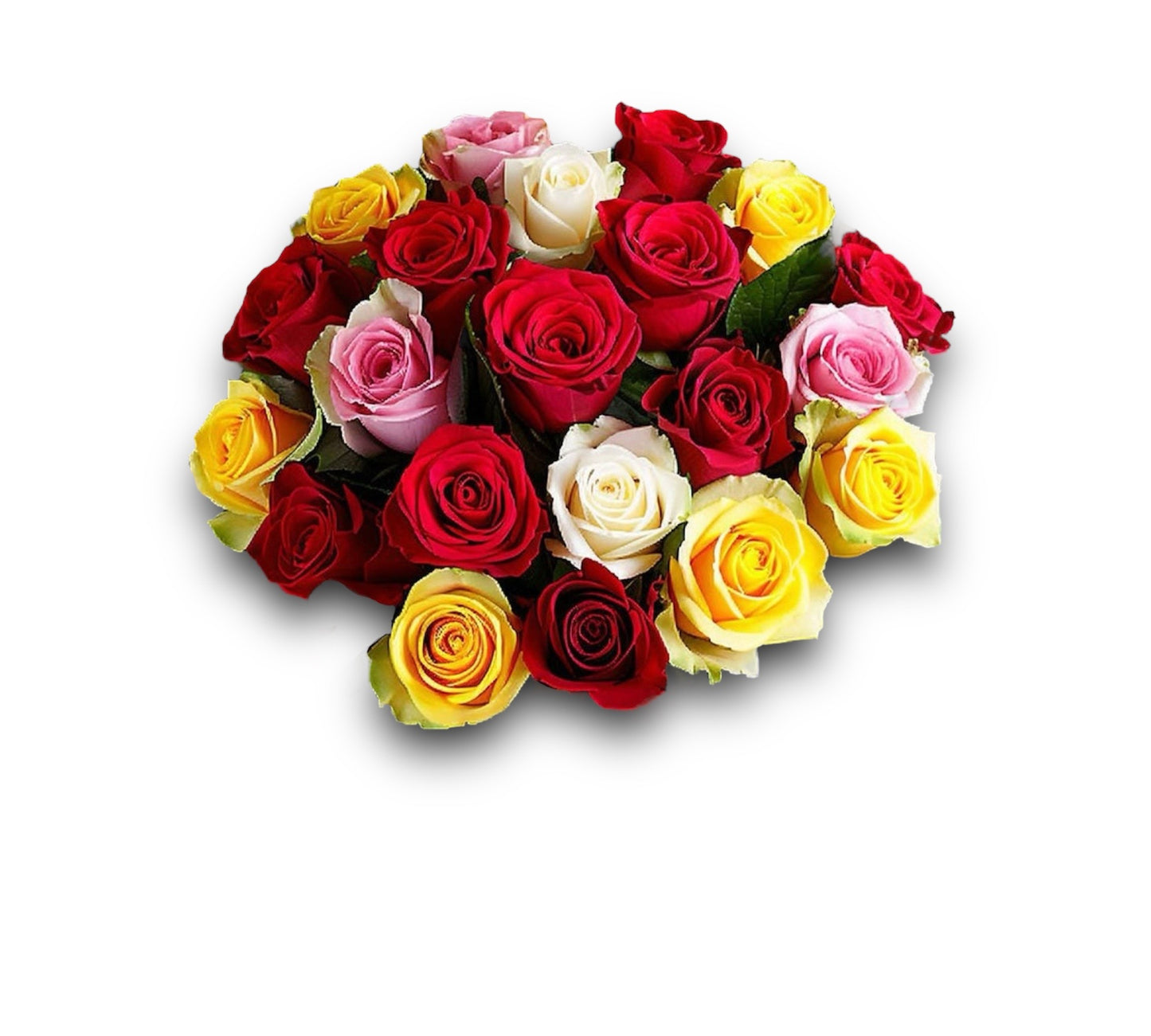 31 Πολύχρωμα τριαντάφυλλα