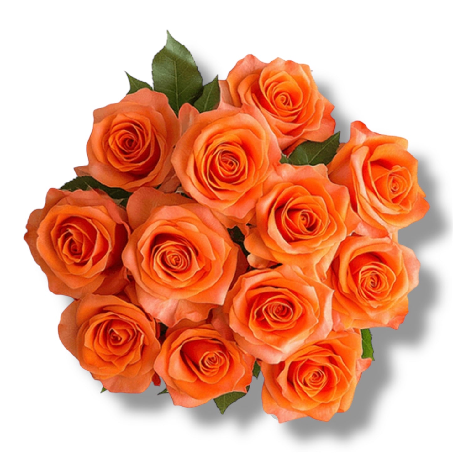 Orange Crash Roses for Women's Day Delivery in Athens