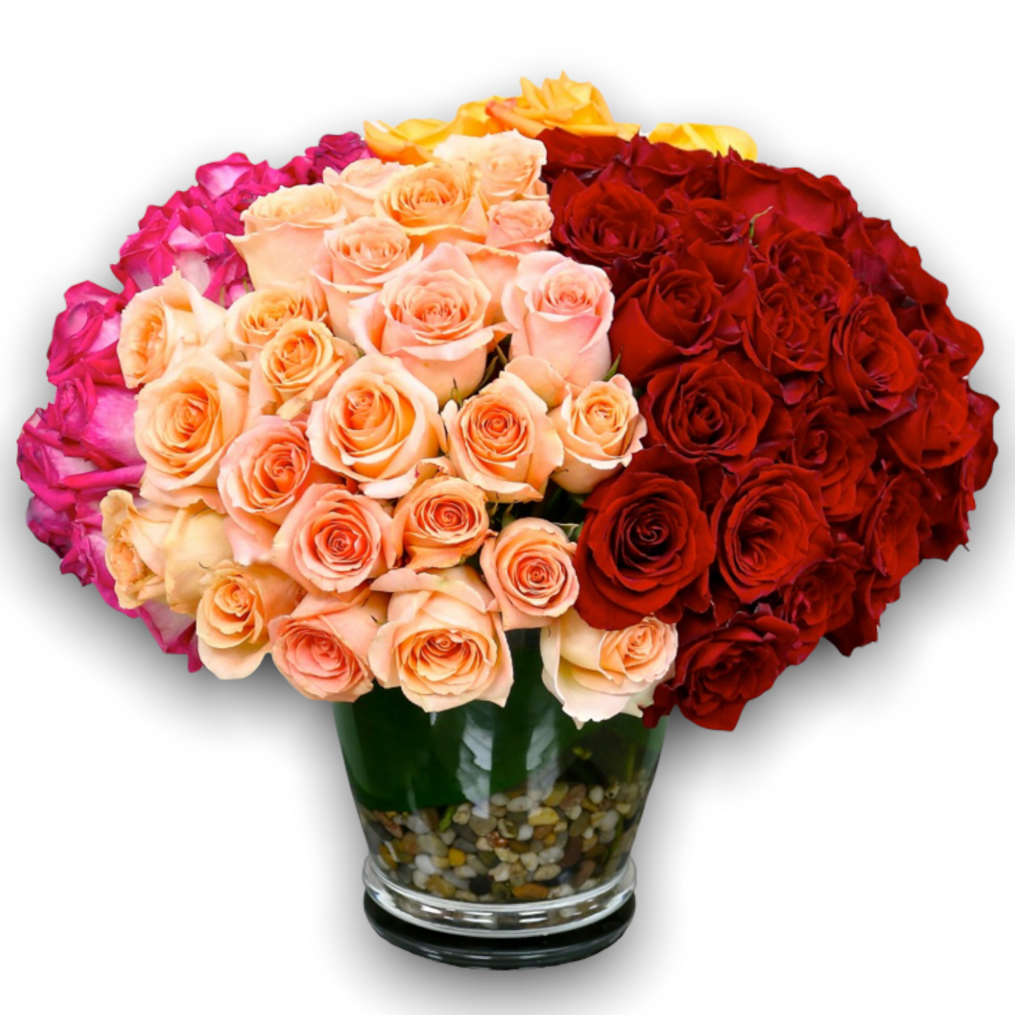 A luxurious bouquet of 100 fresh mixed-color roses, beautifully hand-tied with lush greenery. Featuring vibrant red, pink, yellow, orange, and white roses, this elegant floral arrangement is perfect for birthdays, anniversaries, romantic surprises, and celebrations. Available for same-day flower delivery in Athens, Greece Εντυπωσιακό μπουκέτο με 100 φρέσκα πολύχρωμα τριαντάφυλλα, επιλεγμένα για τη ζωντανή τους απόχρωση και ποιότητα. Περιλαμβάνει κόκκινα, ροζ, κίτρινα, πορτοκαλί και λευκά τριαντάφυλλα, ιδανι