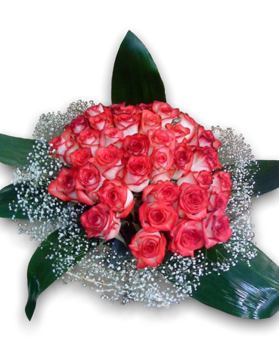 20 Ecuador roses bouquet - 24 hour flower delivery in Athens
Fresh Ecuadorian roses for same-day flower delivery in Athens