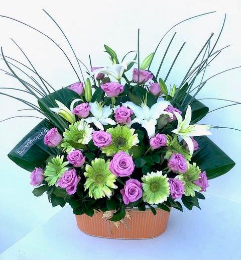 Blushing Love