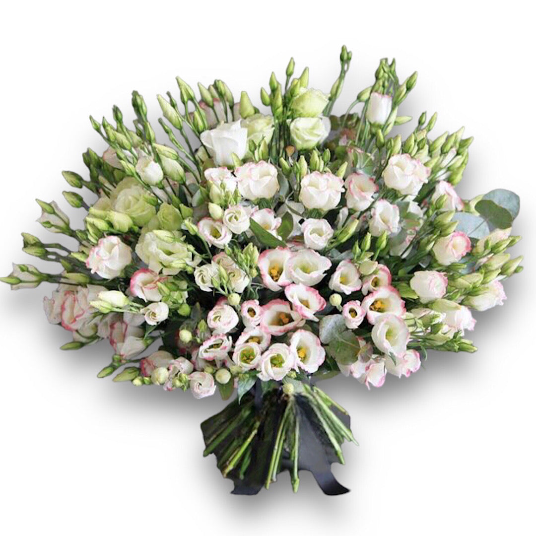 Charming Lisianthus ‼️