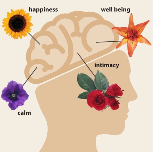 Flowers Improve Emotional Health - Flowershopping.gr
