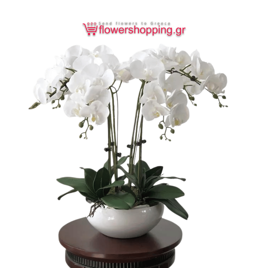 An elegant arrangement of white orchids displayed in a sleek white ceramic bowl, set on a round wooden table, with the flowershopping.gr logo in the background