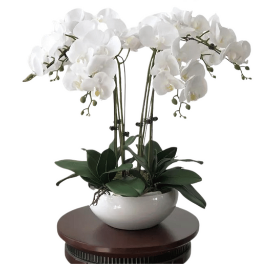 An elegant arrangement of white orchids displayed in a sleek white ceramic bowl, set on a round wooden table, with the flowershopping.gr logo in the background