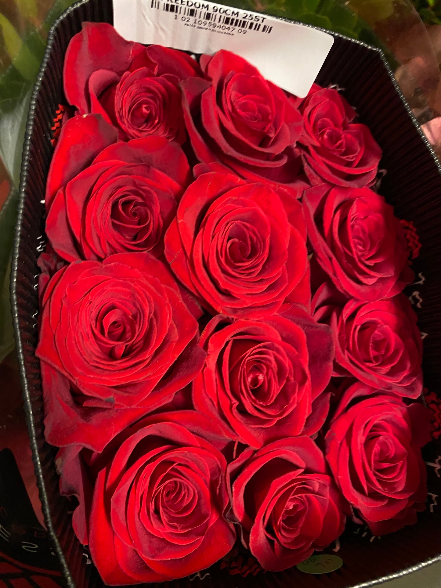 Ecuador Roses