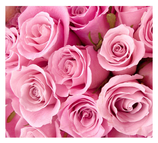 Close-up view of a bouquet of fresh pink roses, showcasing their delicate petals and vibrant color