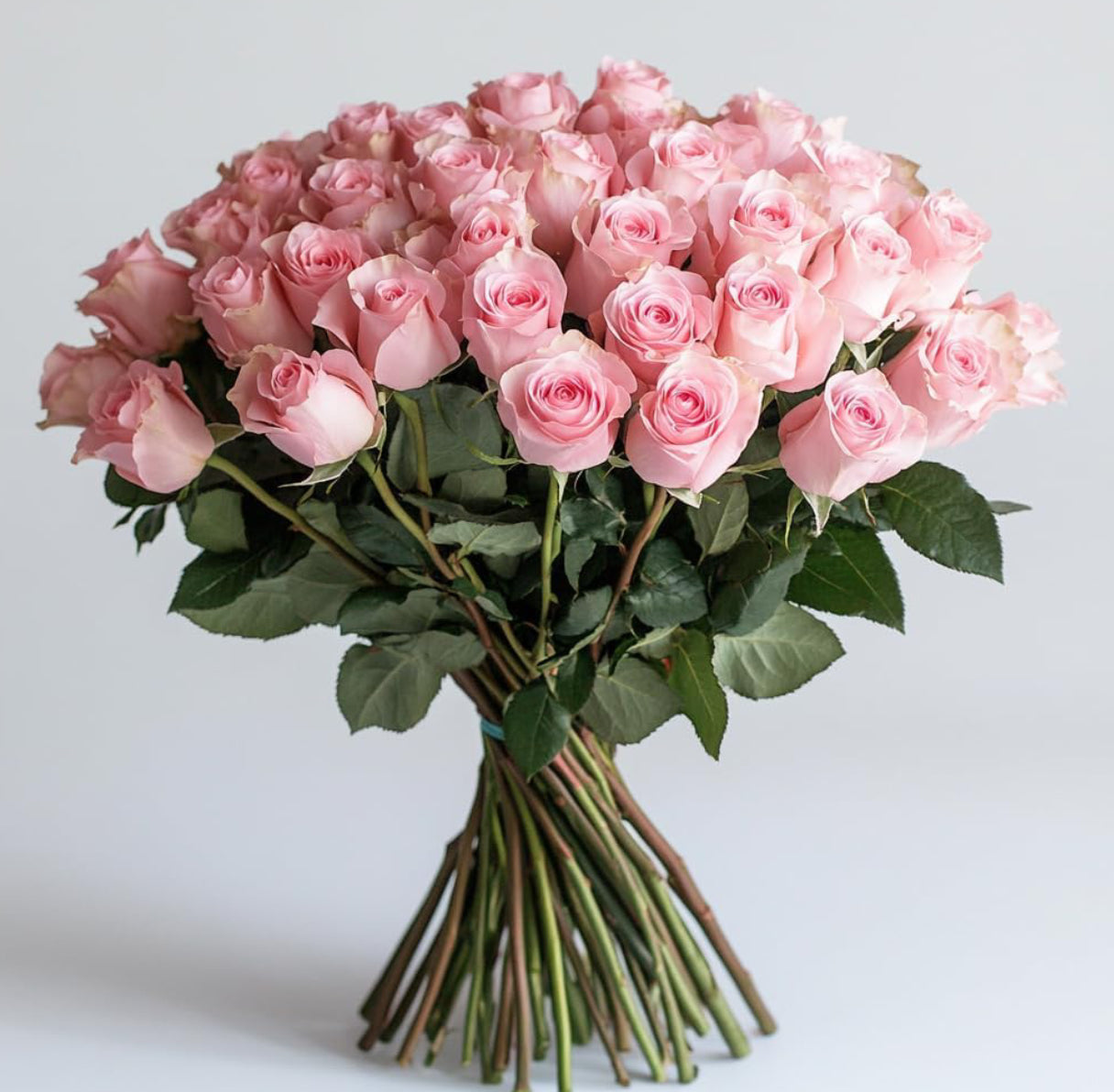 100 Pink Roses