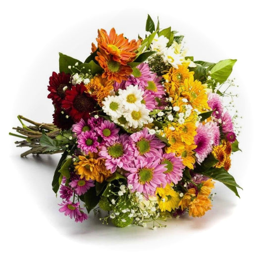 50 Chrysanthemums Bouquet Super Offer‼️‼️