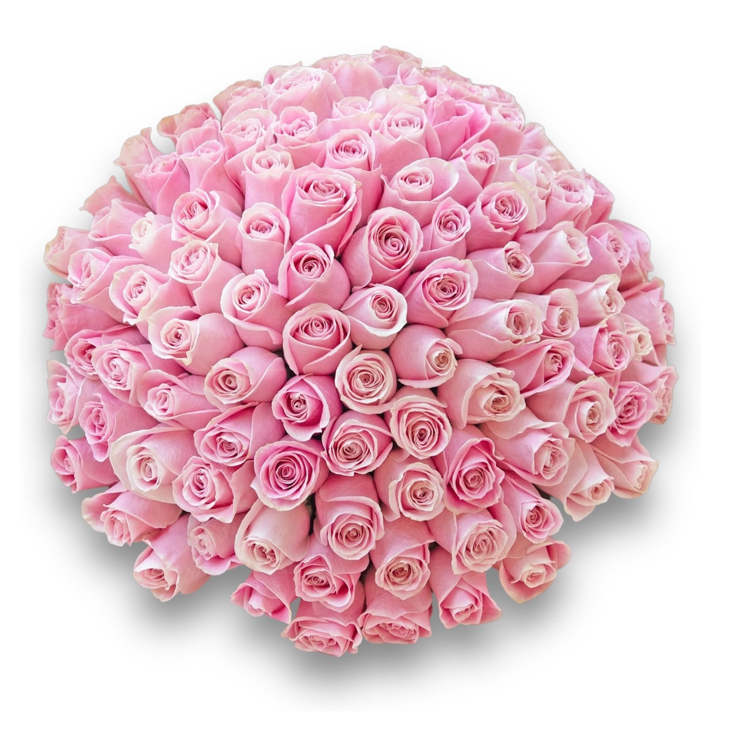 200 Pink Roses