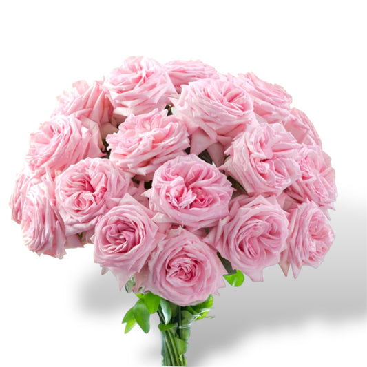 Garden Roses Super Offer