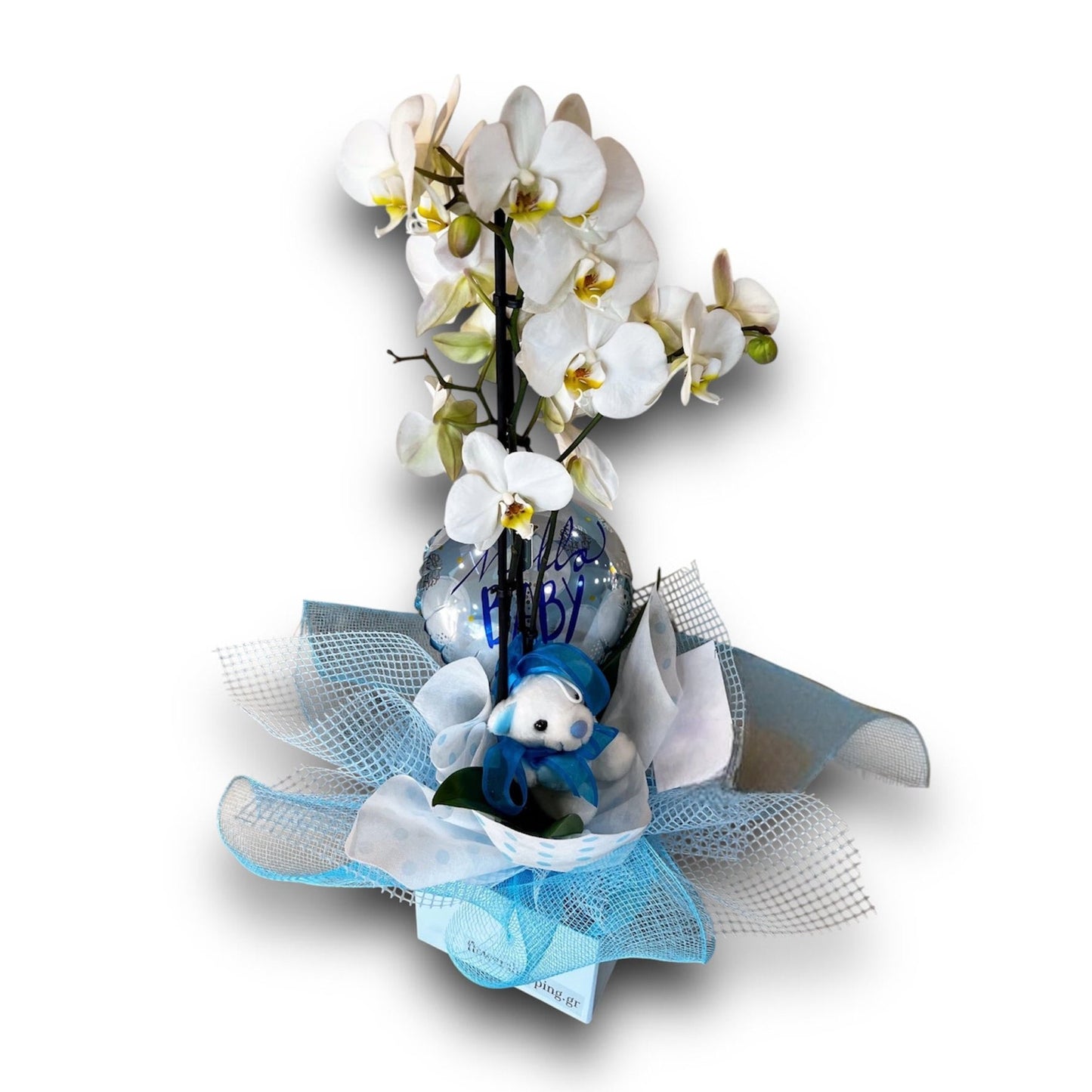 Blue orchid arrangement in a decorated box with a balloon and teddy bear, perfect for celebrating a newborn boy. Customizations available for baby girls. Hand-delivered to Athens maternity hospitals like Iaso, Mitera, and Alexandra