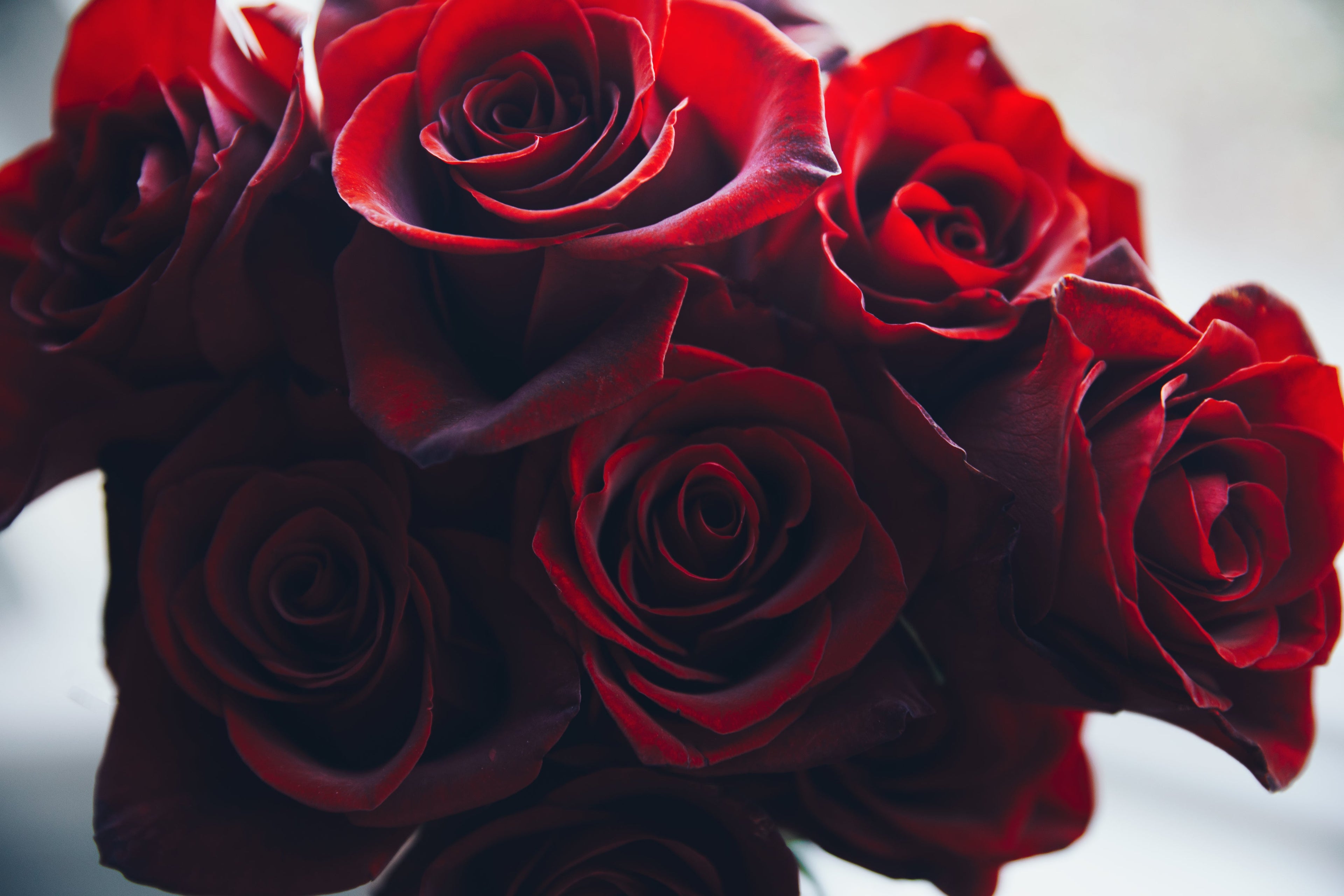 Beautiful and charming red roses from online Athens flowershop.