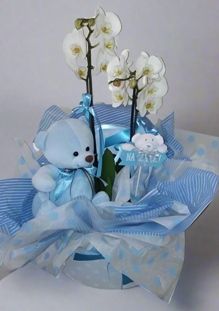 Newborn baby boy gift arrangement featuring a white orchid, blue teddy bear, and decorative blue packaging, ideal for celebrating a baby’s arrival. Iaso, Rea, Lito, Mitera. Available for same-day delivery in Athens, Greece. Flowershopping.gr