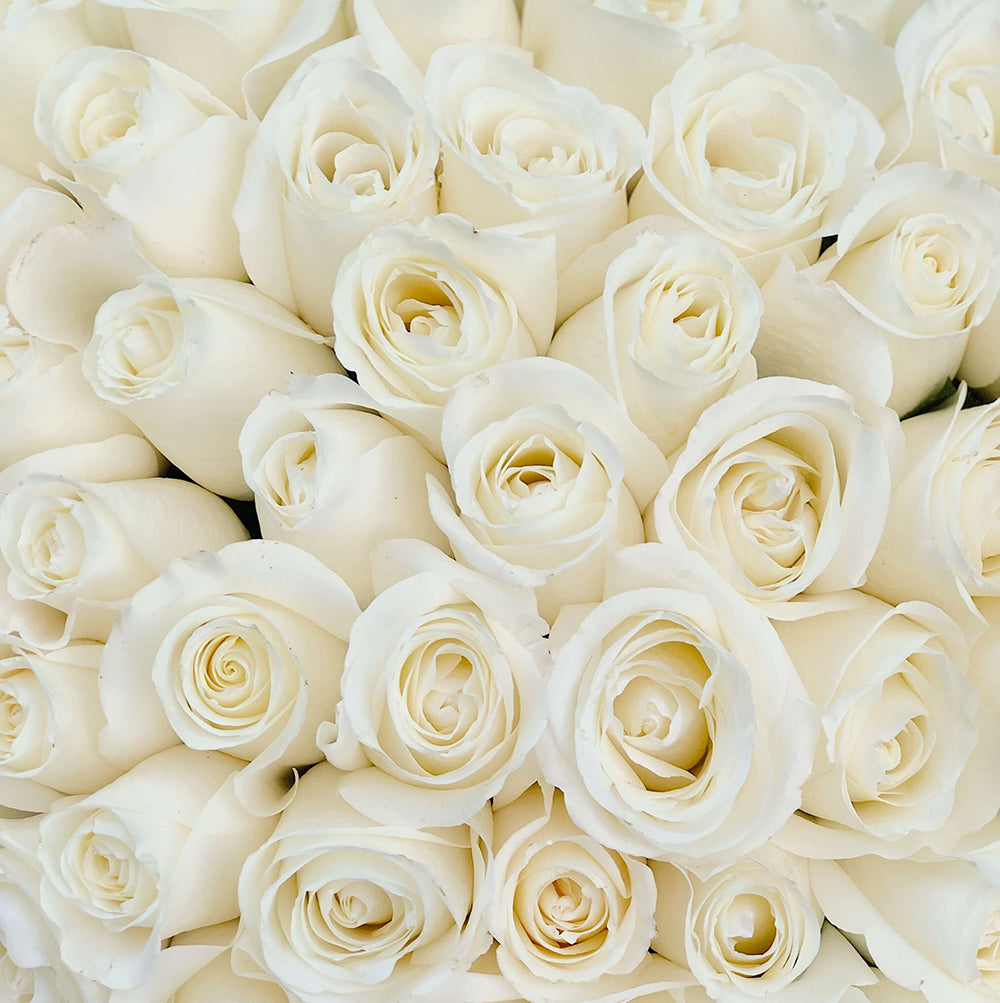 A stunning close-up of a bouquet of fresh white roses, perfect for elegant flower delivery in Athens by flowershopping.gr 2