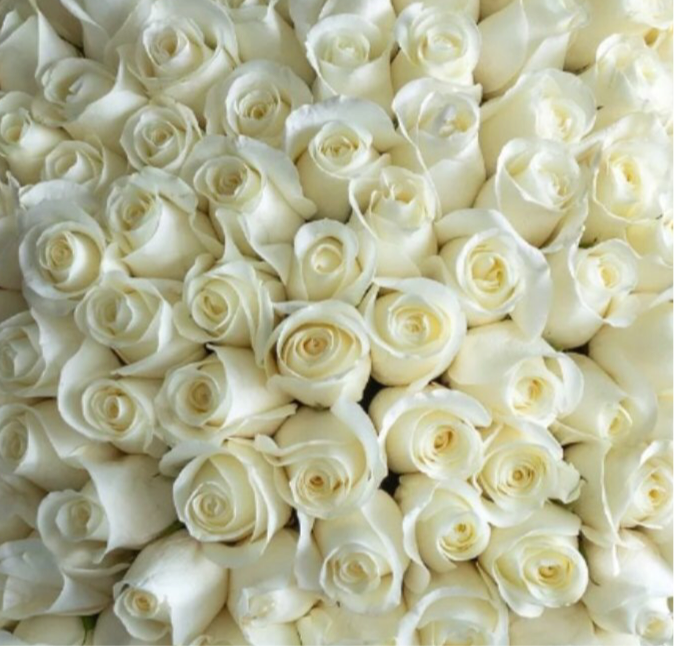 A stunning close-up of a bouquet of fresh white roses, perfect for elegant flower delivery in Athens by flowershopping.gr