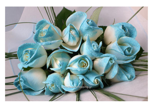 Blue roses collection