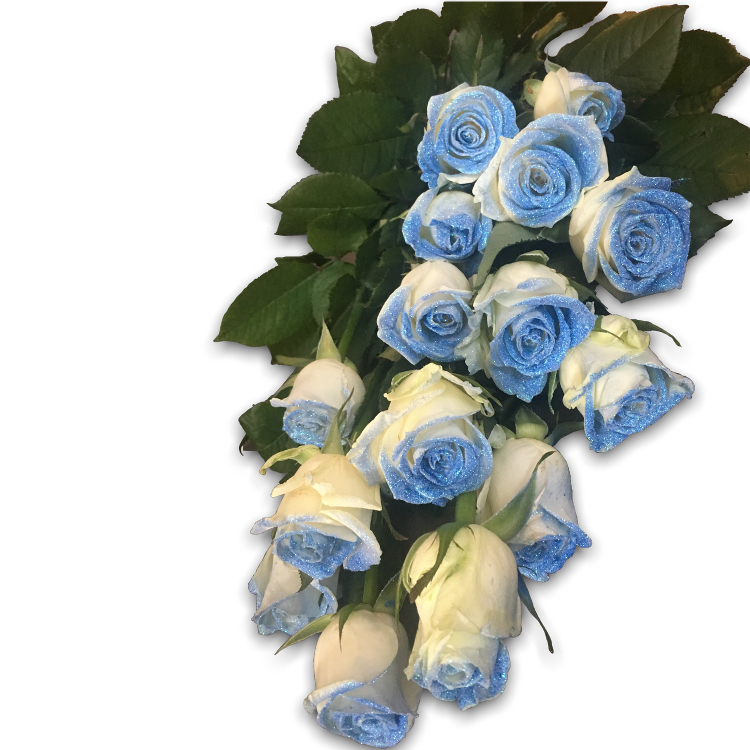 Blue sparkle roses collection