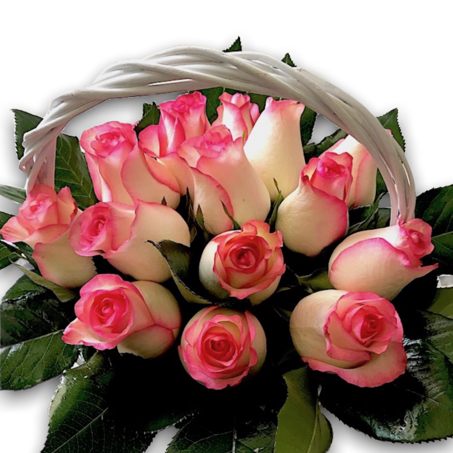 One dozen pink roses in a basket