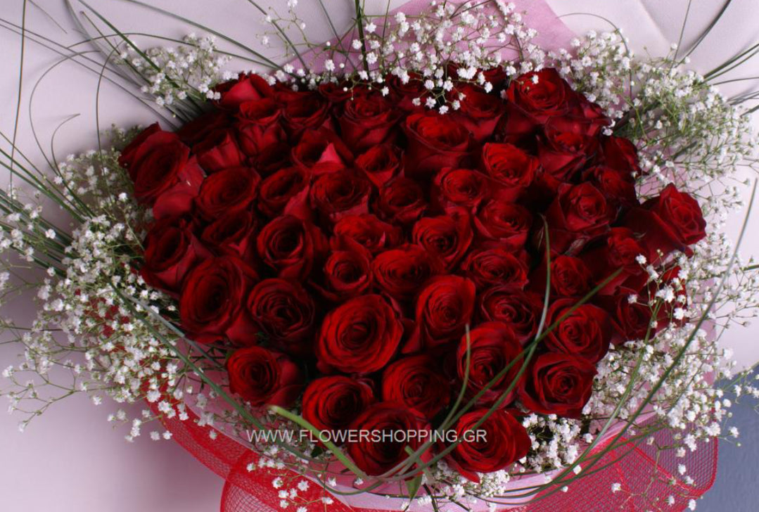 Red roses 51 pieces