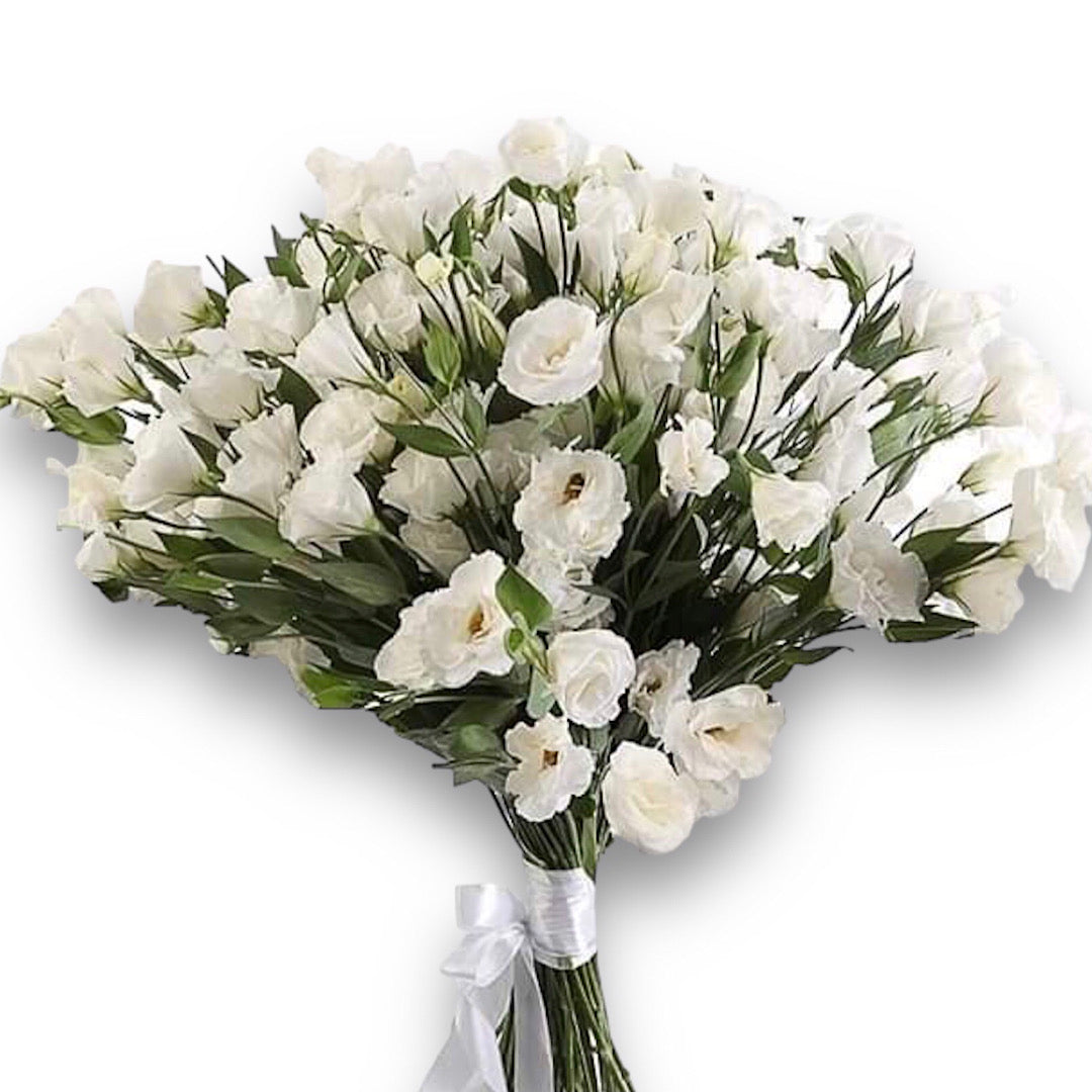 “Pure White Lisianthus” ‼️