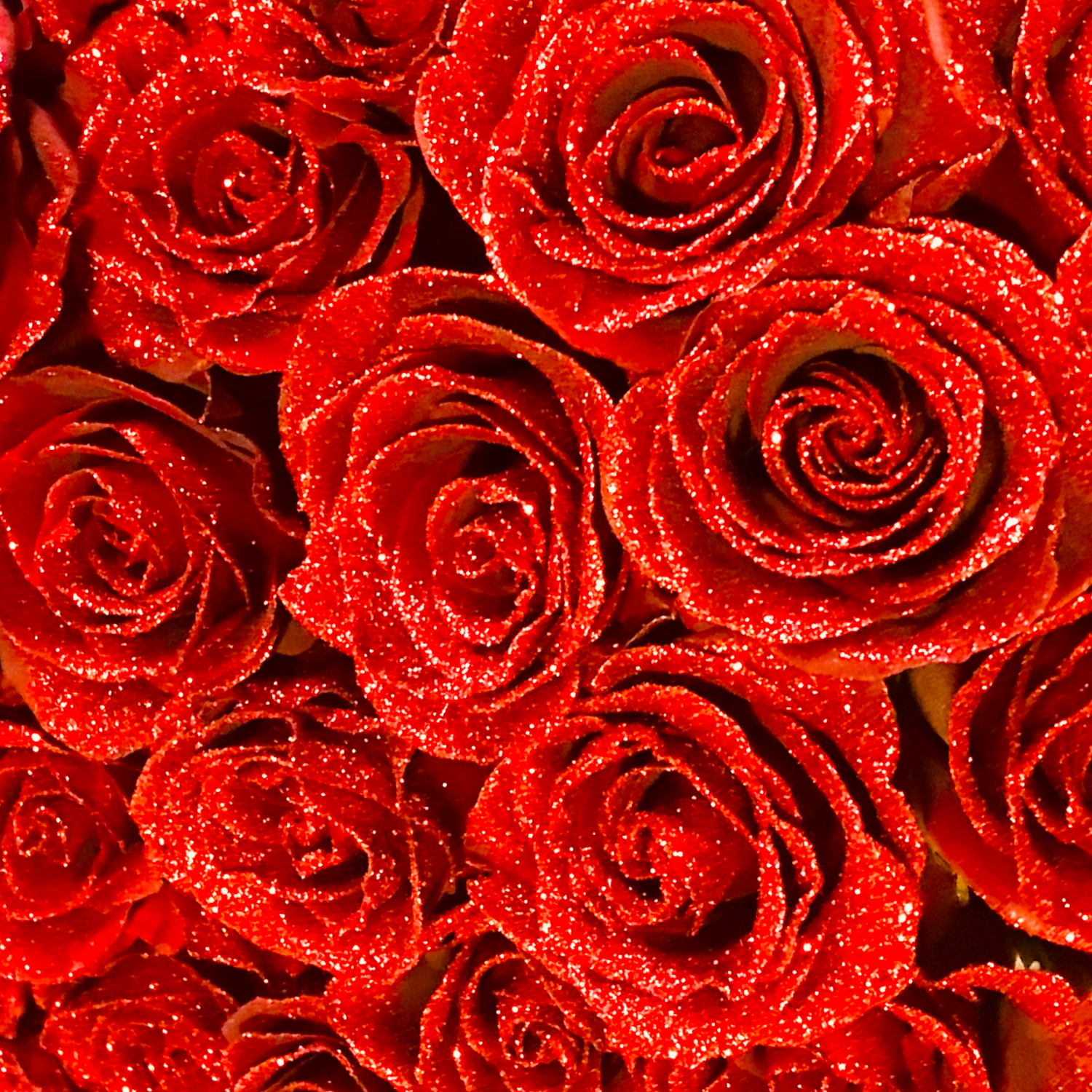 12 Sparkle Red Roses