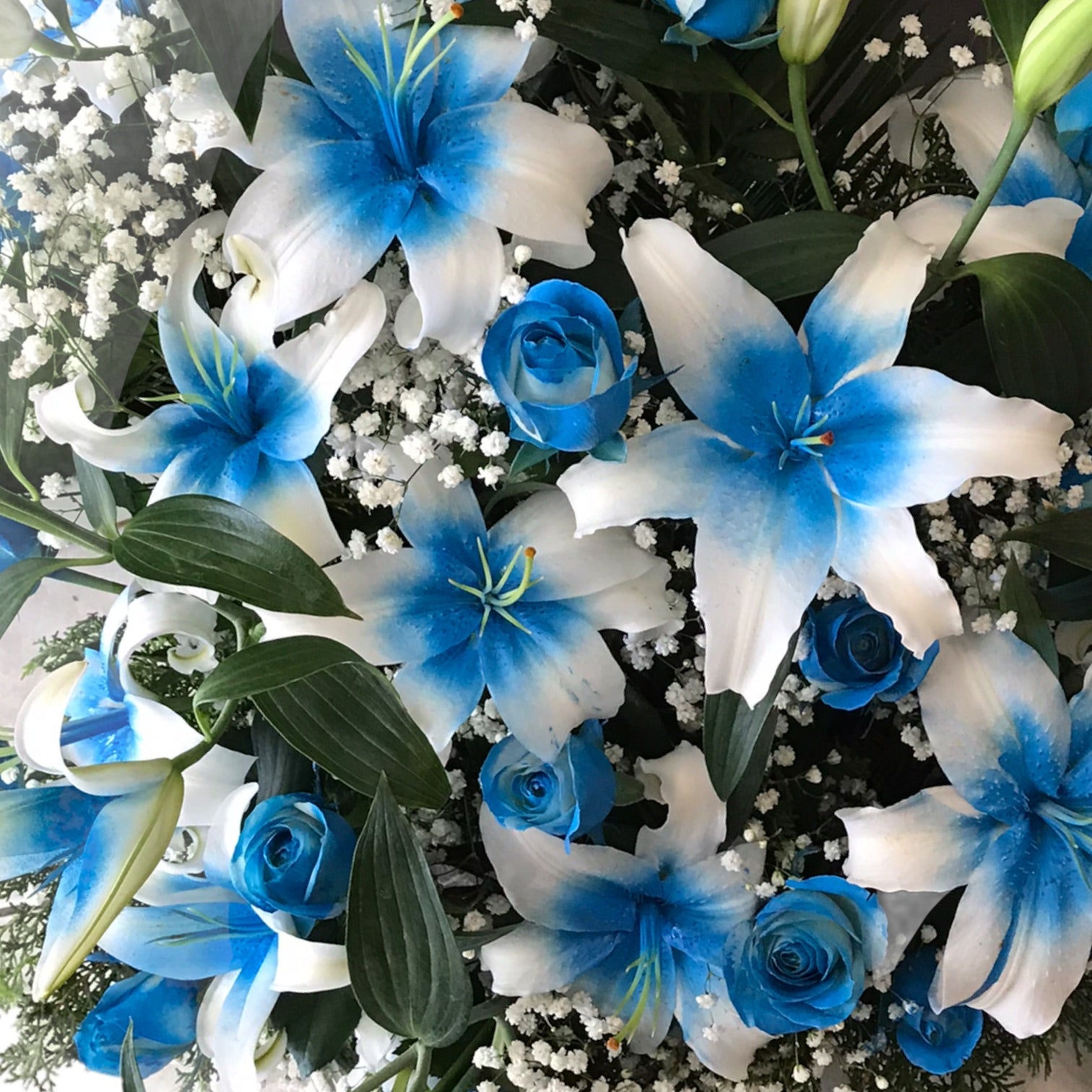 Blue Bouquet