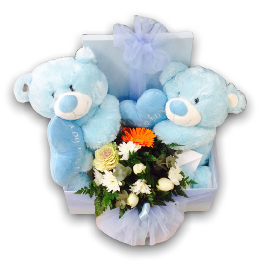 Baby Boy Gift Box that includes a beautiful bouquet of fresh, hand-selected flowers to brighten the hospital room, Two cuddly teddy bears, available in a classic blue or charming pink option. Send flowers to a maternity hospital in Athens with ease, whether it’s Iaso Maternity Hospital, Mitera Maternity Hospital, Metropolitan Hospital, Hygeia Hospital, Evangelismos Hospital, Attikon Hospital, or Alexandra Hospital.