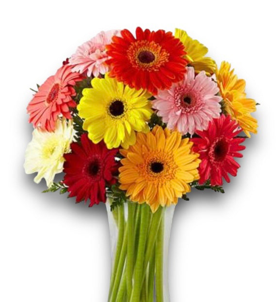 A bouquet of vibrant Gerbera daisies in various colors, including red, yellow, pink, white, and orange, with long green stems. The watermark 'flowershopping.gr' is visible at the bottom of the image