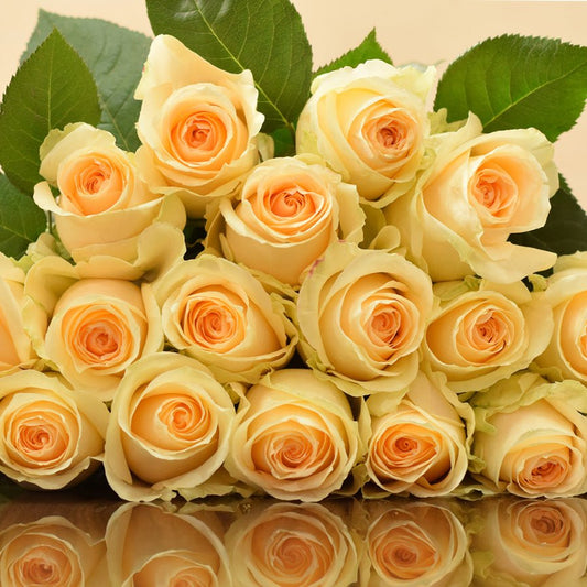 Lovely Peach Roses - flowershopping - Send the Best Flowers in Athens with Free Shipping